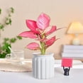 thumbnail image 4 of Transparent Water Storage Self-Watering Flower Pot for Indoor Plants, Mess-Free Cultivation Planter for Desktop or Living Room, 4 of 6