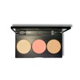 thumbnail image 1 of Pro Cheek Palette light-medium, 1 of 1