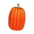 thumbnail image 4 of Lipstore Simulation Pumpkin Holiday Foam Pumpkin Halloween Decor Lifelike Mantel Tabletop Height 21cm, 4 of 8