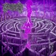 thumbnail image 1 of Maze Envy, 1 of 1