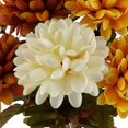 thumbnail image 4 of Mainstays 50.8 cm Indoor Artificial Mum Bush, Cream Orange Color, 4 of 5