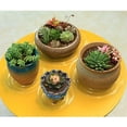 thumbnail image 4 of 10pcs Garden Plant Saucer Drip Tray Round Pot Base Clear Snack Container PET, 4 of 6