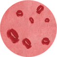 thumbnail image 1 of Ahgly Company Tapis d'Intérieur Lavables en Machine, Ronds, Transitionnels, Rouge, 7' Ronds, 1 of 7