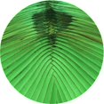 thumbnail image 1 of Ahgly Company Tapis de Zone Rond Vert Transitionnel pour Intérieur Lavable à la Machine, 8 Pieds Rond, 1 of 7