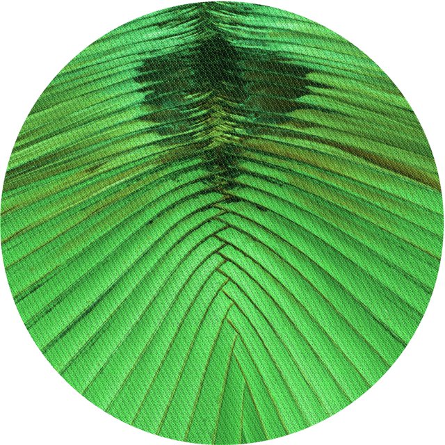 Ahgly Company Tapis de Zone Rond Vert Transitionnel pour Intérieur Lavable à la Machine, 8 Pieds Rond