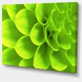 thumbnail image 2 of Bright Green Flower Petals - Floral Canvas Art Print, 2 of 3