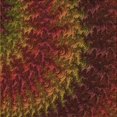 thumbnail image 1 of Ahgly Company Tapis d'Intérieur Lavable en Machine Carré Transitionnel Acajou Brun, 7 Pieds Carré, 1 of 7
