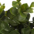 thumbnail image 3 of Bouclair Waterfall Eucalyptus in White Hourglass Pot, 3 of 10