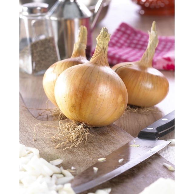 TASC Plant Bulbs – Sturon Spanish Onion Biennial Vegetable Onion Bulb showing three large, firm yellow onions with golden-brown skin and dried roots on a wooden cutting board, with a kitchen knife and chopped onion pieces nearby, set against a blurred background with a pepper shaker and red checkered cloth, suitable for home gardens and cooking.