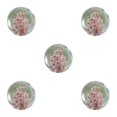 thumbnail image 1 of VONKY Resin Crystal Ball Enhancing Energy In Space Easily Portable Flower Crystal Ball Daisy red 7cm 5Set, 1 of 6