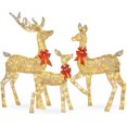 thumbnail image 1 of 3pcs Lighted Christmas Deer Family Set Outdoor Yard Decoration, 1 of 4