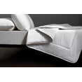 thumbnail image 3 of Twin Ducks Inc Mulberry Silk Comforter, 3 of 4