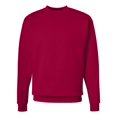 thumbnail image 1 of Hanes Ecosmart Chandail Molletonné à Col Rond Unisexe, 1 of 1
