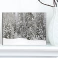 thumbnail image 2 of Designart Foggy Winter Forest Panorama Canvas Wall Art, 2 of 4