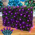 thumbnail image 1 of Novelty Lights 4x6 Purple LED Net Lights, Outdoor Hedge & Bush Lighting, 1 of 5