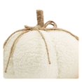 thumbnail image 3 of Way To Celebrate Sherpa Pumpkin Decoration, Diameter 7 inch, Cream colour, 3 of 4