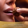 thumbnail image 4 of FERRERO COLLECTION GRAND ASSORTMENT Fine Chocolates and Confections Holiday Gift Box, 12 Assorted Confections, 118 g, 4 of 8