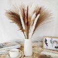 thumbnail image 3 of Flower Arrangement Dried Pampas Grass Real Plants Natural Herb Bouquet For Wedding Home Decoration Net Red Little Reed, 3 of 10