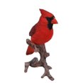 thumbnail image 3 of Hi-Line Gift Ltd Cardinal sur une Branche Statue, 3 of 4
