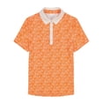 thumbnail image 4 of IZOD ALLY PRINTED SHORT-SLEEVE POLO​, 4 of 4