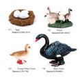 thumbnail image 4 of pitrice 1 Set Spade Worm Model Premium Plastic Material Meaningful Insect Figurines Early Educational Growing Models for School Project black swan, 4 of 6