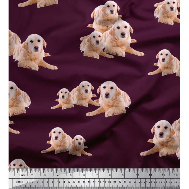 Soimoi Poly Georgette Fabric Golden Retriever Dog Printed Craft Fabric by The Yard 52 Inch Wide