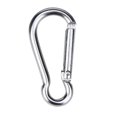 thumbnail image 1 of LOVEVER Mousqueton en Aluminium Ressort d'Escalade Porte-Clés à Pression en Alliage 2 Pcs Clip Camping & Randonnée Mousqueton en Alliage d'Aluminium pour Extérieur, 1 of 1