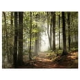 thumbnail image 1 of Designart Green Fall Forest with Sun Rays Canvas Wall Art, 1 of 4