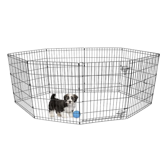 Vibrant Life Dog Pen, 24 inch indoor and outdoor pet exercise play pen with heavy-duty non-corrosive metal frame, black octagonal shape with slide bolt latches securing the door, shown with a small black and white dog and blue ball inside, provides clear visibility and ventilation, folds flat for easy storage and transport, ideal for safe pet exercise and play.