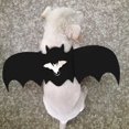 thumbnail image 1 of Pet Chest Strap Harness, , Pet Leash For Animal Pet, 1 of 8