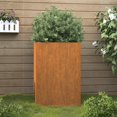 thumbnail image 1 of vidaXL Jardinière 52x48x75 cm Acier Corten, 1 of 5