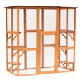 thumbnail image 1 of PawHut Grande Cage Extérieure en Bois pour Chat Orange, 1 of 10