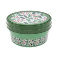 thumbnail image 1 of Christmas Festive Berries Green Round Gift Storage Containers, Plastic, 2-pack, by Holiday Time, 1 of 8