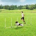 thumbnail image 2 of PawHut Ensemble d'Obstacles Réglables pour l'Entraînement d'Agilité du Chien Blanc, 2 of 9