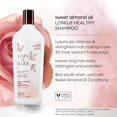 thumbnail image 2 of Bain de Terre SWEET ALMOND OIL SHAMPOO 1L, 2 of 7