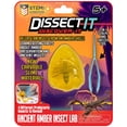 thumbnail image 1 of Trousses de dissection Dissect It – Série Découverte - Insecte, 1 of 2