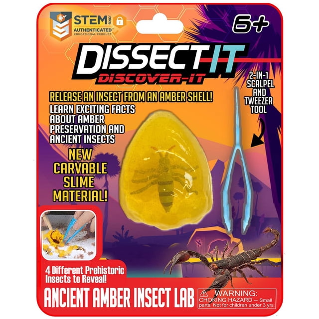 Trousses de dissection Dissect It – Série Découverte - Insecte