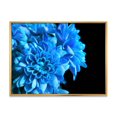 thumbnail image 1 of Designart Détail de fleurs bleues sur noir I ART MURAL À CADRE FLOTTÉ, 1 of 4