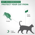 thumbnail image 4 of Advantage II Flea Treatment for Large Cats (4 doses), 4 of 7