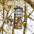 thumbnail image 2 of Squirrel Baffle Bird Feeder Baffle Bird Feeder Cover Bird Feeder Squirrel Protective Baffle Birds Feeder Protector, 2 of 5