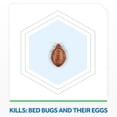 thumbnail image 3 of Raid Bed Bug Insect Killer Spray, Kills Bed Bugs and Eggs, 350g, 3 of 8