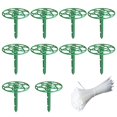 thumbnail image 1 of 10 Pack Strawberry Plant Support -Strawberry Growing Racks for Keeping Clean 23*19cm, 1 of 2