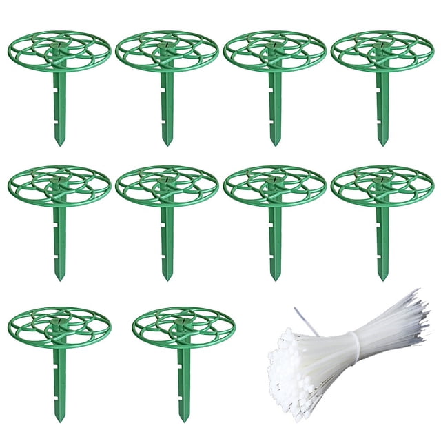 10 Pack Strawberry Plant Support -Strawberry Growing Racks for Keeping Clean 23*19cm