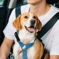 thumbnail image 4 of Binwennn Car Pet Belt Dog Car Leash Cute Pet Car Adjustable Rope Rope No Dogs Leash Sleeve Dog Leash Leather Training Leashes for Large Breed Dogs berry Dog Leash Dog Leash with Two Handles Dog, 4 of 4