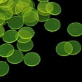 thumbnail image 4 of 100 pcs Translucent Bingo Chips 19mm for Board Game Yellow Yellow1, 4 of 7