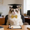 thumbnail image 4 of Pet Graduation Cap and Adjustable Bow Tie Set with Elastic Strap, Black Polyester, Fits Small to Medium Dogs and Cats, Lightweight Photo Prop for School and Graduation, 16x16x9 cm, 4 of 6
