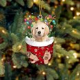 thumbnail image 1 of RKSTN Fall Decorations for Home Funny Christmas Tree Decorations, Suitable For Dogs - Gifts For Dog Lovers - Christmas Decorations - Lovely Stockings Dog Christmas Tree Decorations, 1 of 2