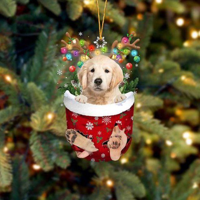 RKSTN Fall Decorations for Home Funny Christmas Tree Decorations, Suitable For Dogs - Gifts For Dog Lovers - Christmas Decorations - Lovely Stockings Dog Christmas Tree Decorations