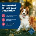 thumbnail image 3 of BLUE Life Protection Formula Adult Salmon & Brown Rice Dry Dog Food (Chicken-free), 3 of 7