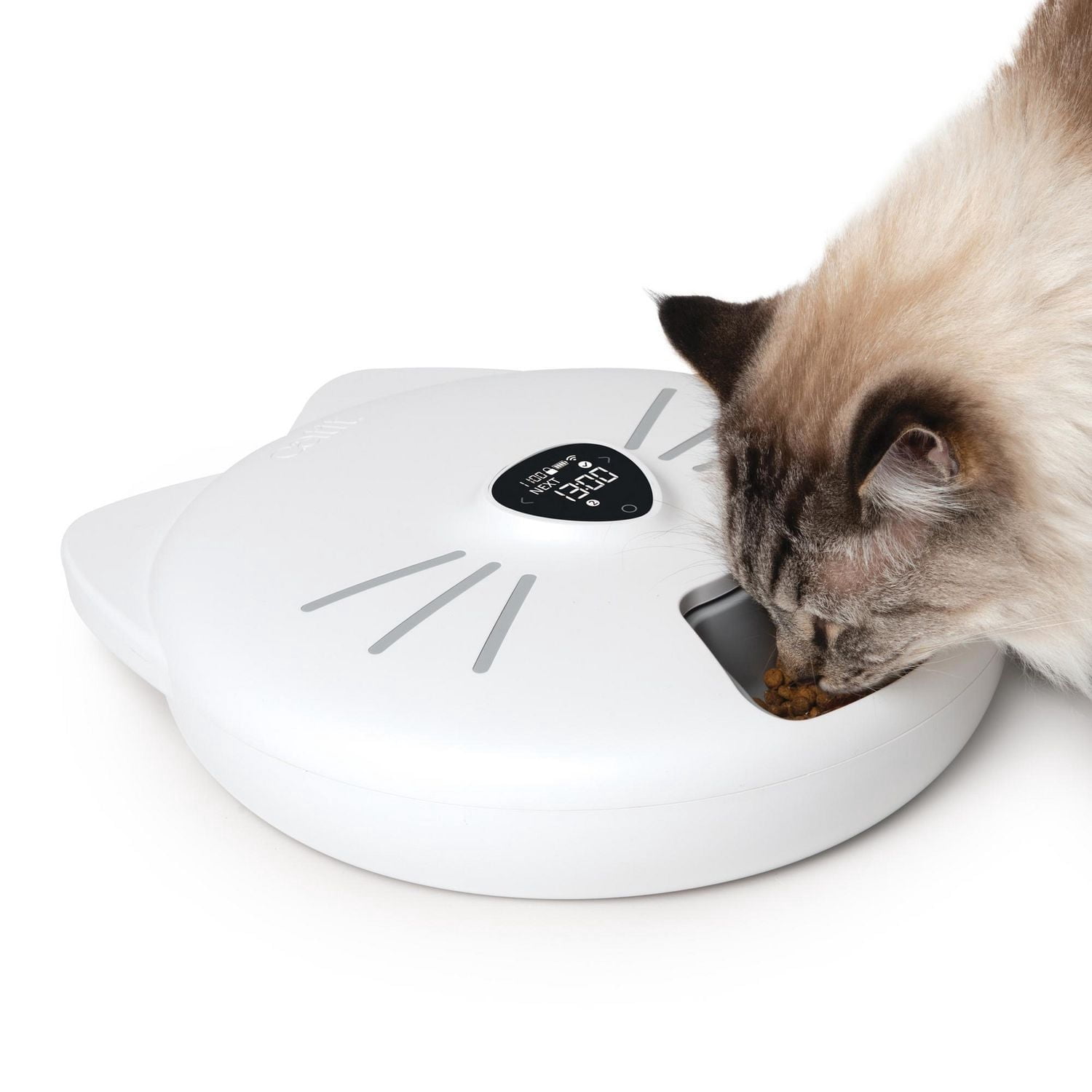Catit Pixi Smart 6-Meal Cat Feeder - Walmart.ca